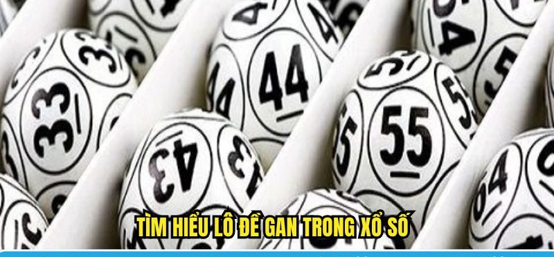 Tìm hiểu lô đề gan trong xổ số